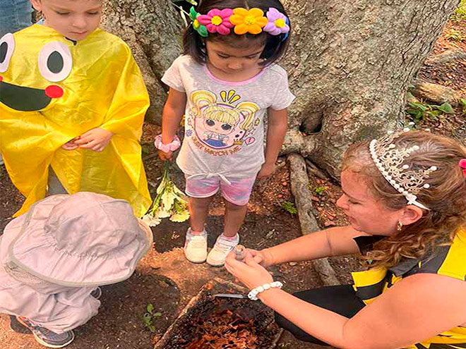 Guía explicando sobre abejas a los visitantes